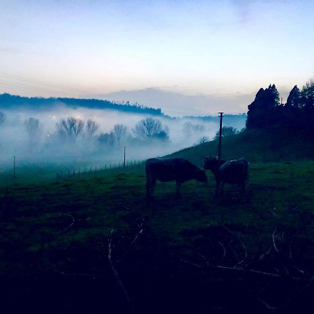 Fattoria Lucciano Villa Borghetto  Kültér fotó