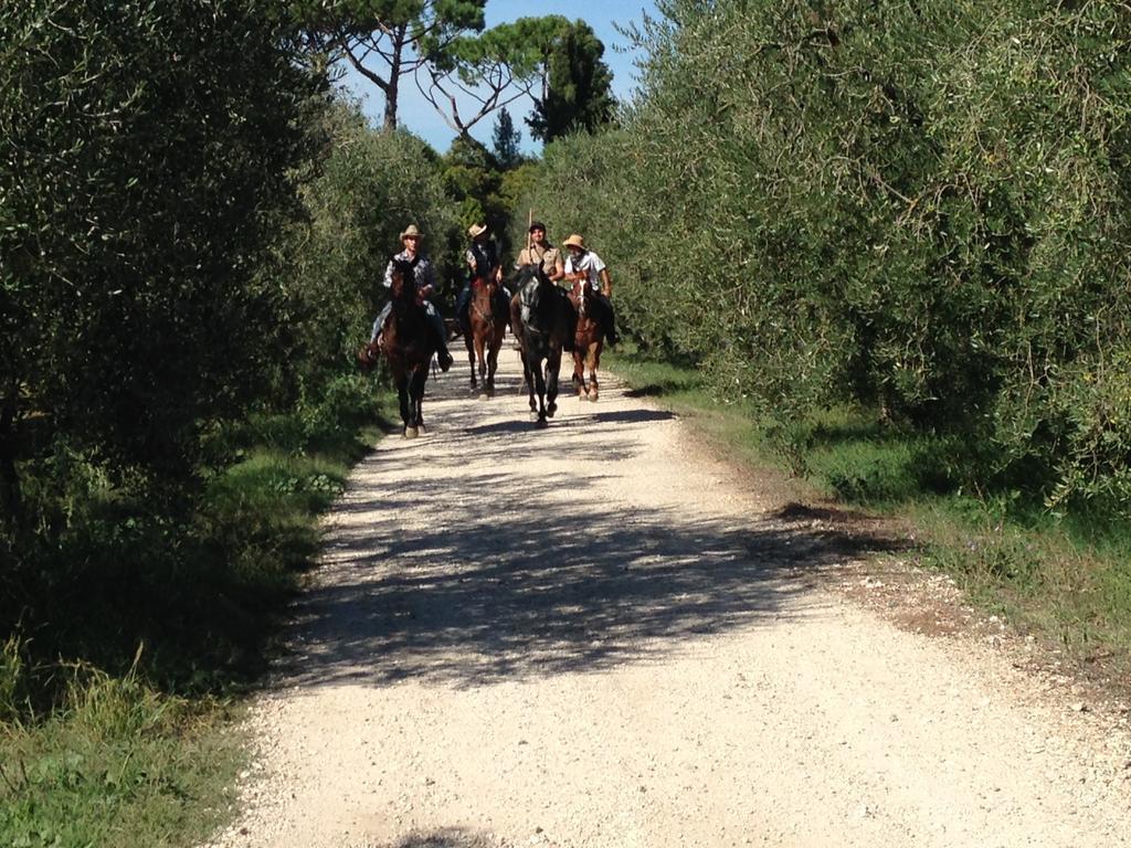 Fattoria Lucciano Villa Borghetto  Kültér fotó