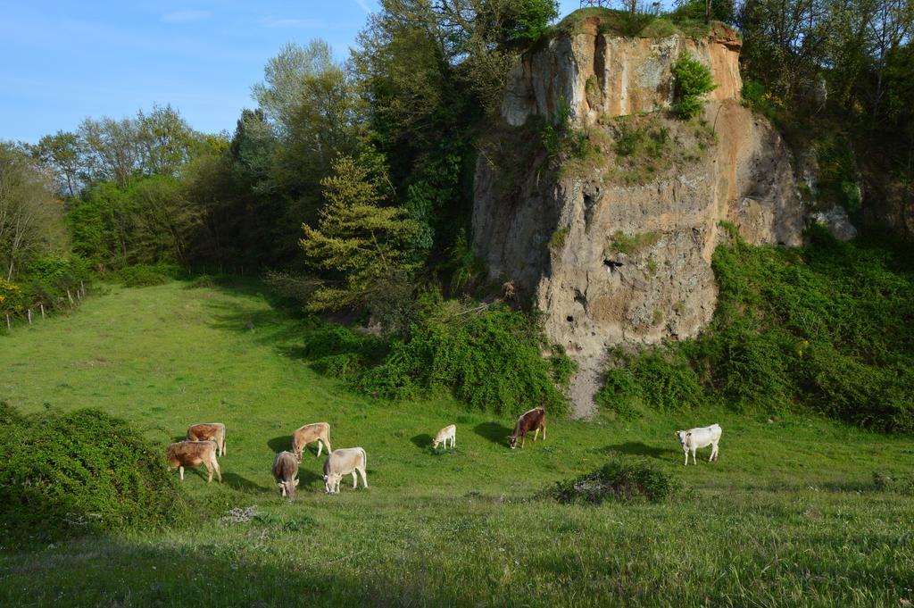 Fattoria Lucciano Villa Borghetto  Kültér fotó