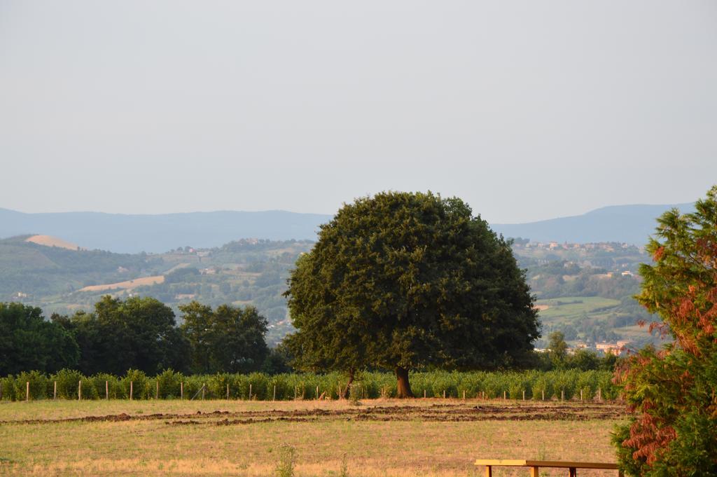 Fattoria Lucciano Villa Borghetto  Szoba fotó