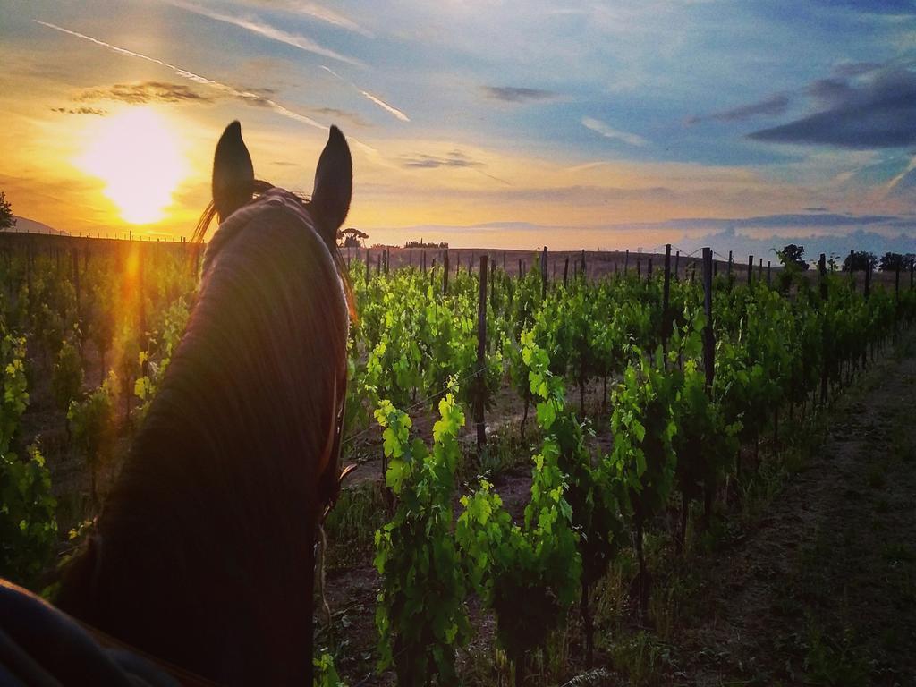 Fattoria Lucciano Villa Borghetto  Kültér fotó