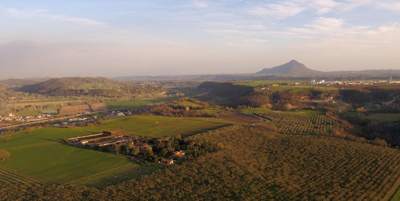 Fattoria Lucciano Villa Borghetto  Kültér fotó