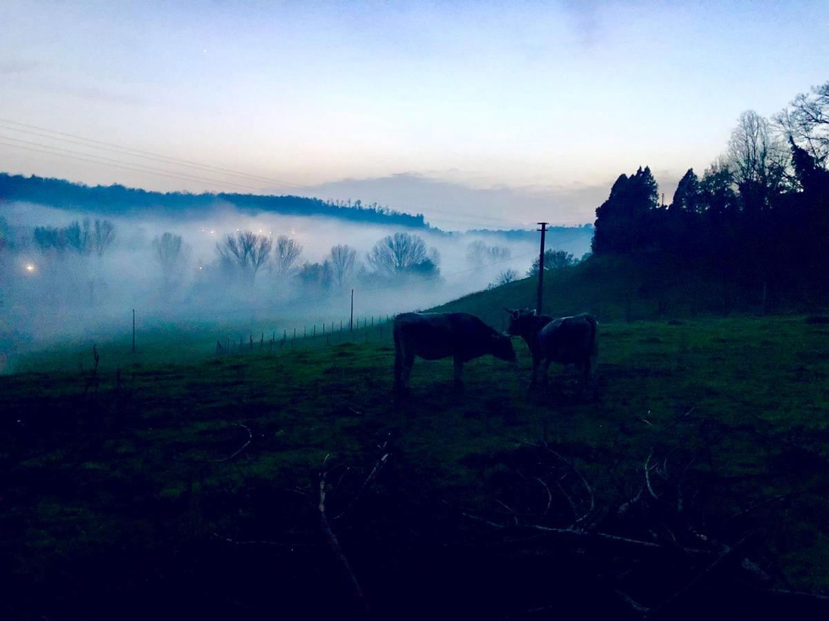 Fattoria Lucciano Villa Borghetto  Kültér fotó