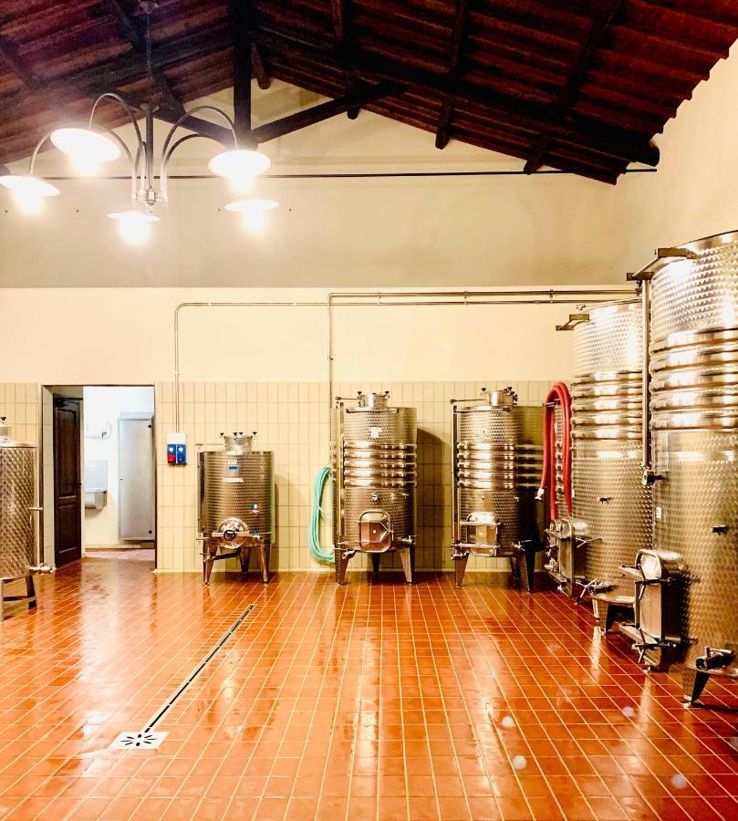 Fattoria Lucciano Villa Borghetto  Kültér fotó